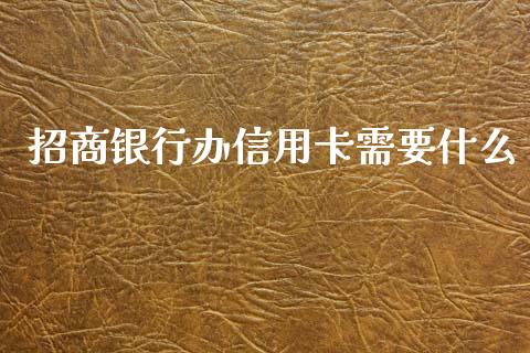 招商银行办信用卡需要什么_https://wap.sdyuehang.cn_债券资讯_第1张