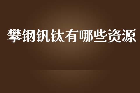 攀钢钒钛有哪些资源_https://wap.sdyuehang.cn_新股申购_第1张