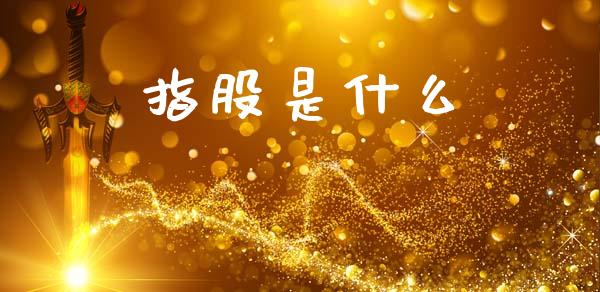 指股是什么_https://wap.sdyuehang.cn_债券资讯_第1张
