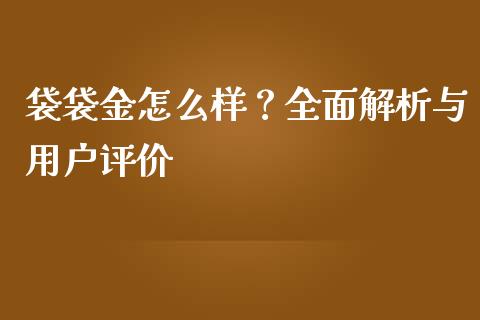 袋袋金怎么样?全面解析与用户评价_债券资讯_第1张_产经新闻_债券资讯_新股申购_美股行情 袋袋金怎么样?全面解析与用户评价_https://wap.sdyuehang.cn_债券资讯_第1张