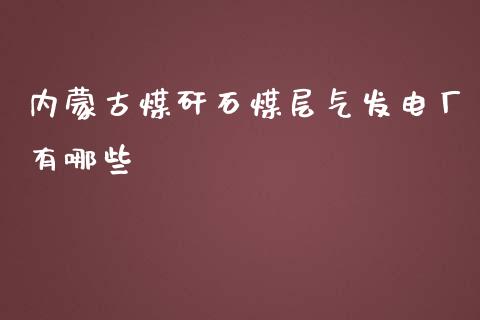 内蒙古煤矸石煤层气发电厂有哪些_https://wap.sdyuehang.cn_债券资讯_第1张