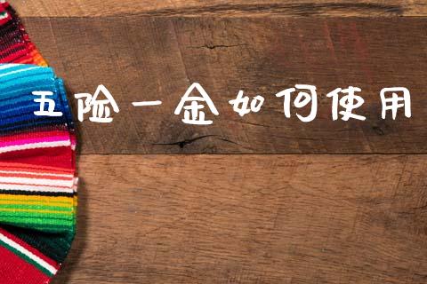 五险一金如何使用_https://wap.sdyuehang.cn_新股申购_第1张
