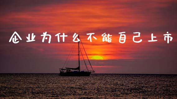 企业为什么不能自己上市_https://wap.sdyuehang.cn_新股申购_第1张