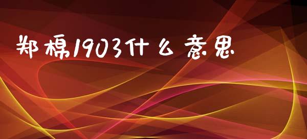 郑棉1903什么意思_https://wap.sdyuehang.cn_新股申购_第1张