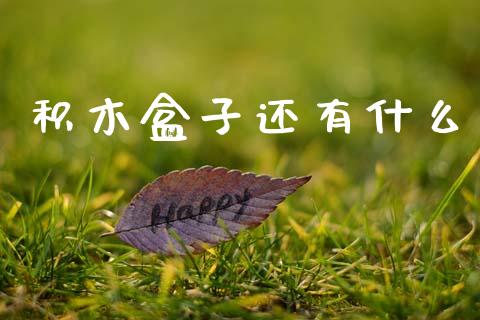 积木盒子还有什么_https://wap.sdyuehang.cn_新股申购_第1张
