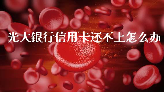 光大银行信用卡还不上怎么办_https://wap.sdyuehang.cn_新股申购_第1张