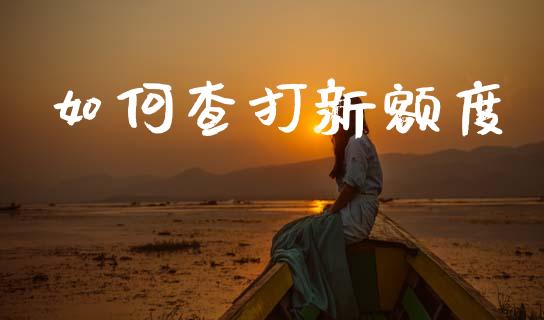 如何查打新额度_https://wap.sdyuehang.cn_产经新闻_第1张