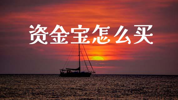 资金宝怎么买_https://wap.sdyuehang.cn_美股行情_第1张