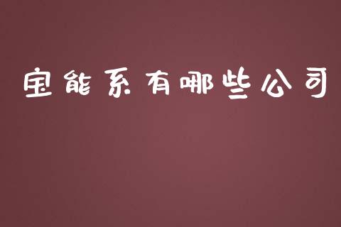 宝能系有哪些公司_https://wap.sdyuehang.cn_债券资讯_第1张