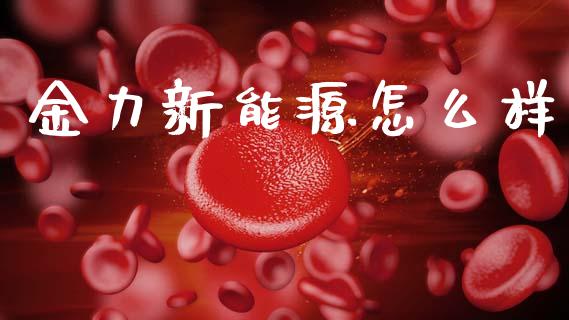 金力新能源怎么样_https://wap.sdyuehang.cn_债券资讯_第1张