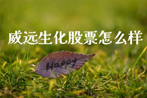 威远生化股票怎么样_https://wap.sdyuehang.cn_新股申购_第1张