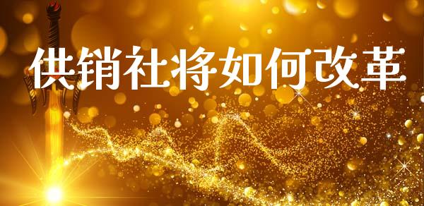 供销社将如何改革_https://wap.sdyuehang.cn_产经新闻_第1张