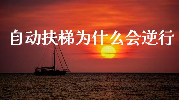 自动扶梯为什么会逆行_https://wap.sdyuehang.cn_新股申购_第1张