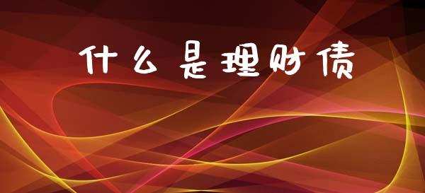 什么是理财债_https://wap.sdyuehang.cn_美股行情_第1张