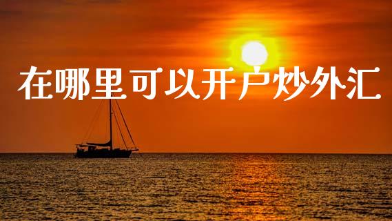 在哪里可以开户炒外汇_https://wap.sdyuehang.cn_产经新闻_第1张