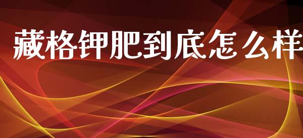 藏格钾肥到底怎么样_https://wap.sdyuehang.cn_产经新闻_第1张