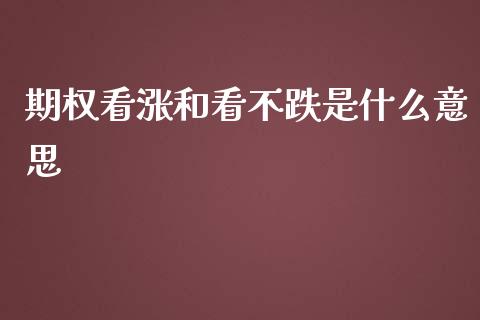 期权看涨和看不跌是什么意思_https://wap.sdyuehang.cn_债券资讯_第1张