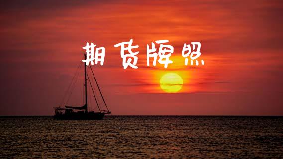 期货牌照_https://wap.sdyuehang.cn_新股申购_第1张