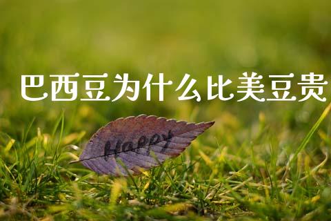巴西豆为什么比美豆贵_https://wap.sdyuehang.cn_产经新闻_第1张