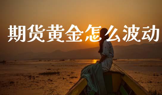 期货黄金怎么波动_https://wap.sdyuehang.cn_新股申购_第1张
