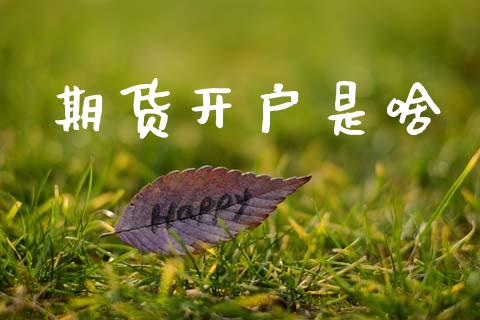 期货开户是啥_https://wap.sdyuehang.cn_债券资讯_第1张