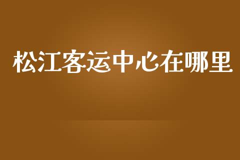 松江客运中心在哪里_https://wap.sdyuehang.cn_债券资讯_第1张