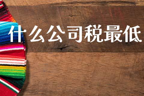 什么公司税最低_https://wap.sdyuehang.cn_债券资讯_第1张