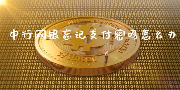 中行网银忘记支付密吗怎么办_https://wap.sdyuehang.cn_产经新闻_第1张