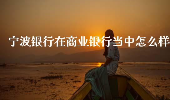 宁波银行在商业银行当中怎么样_https://wap.sdyuehang.cn_产经新闻_第1张