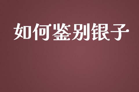 如何鉴别银子_https://wap.sdyuehang.cn_产经新闻_第1张