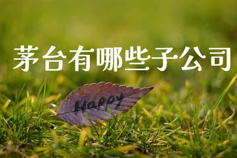 茅台有哪些子公司_https://wap.sdyuehang.cn_产经新闻_第1张