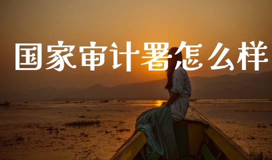 国家审计署怎么样_https://wap.sdyuehang.cn_债券资讯_第1张