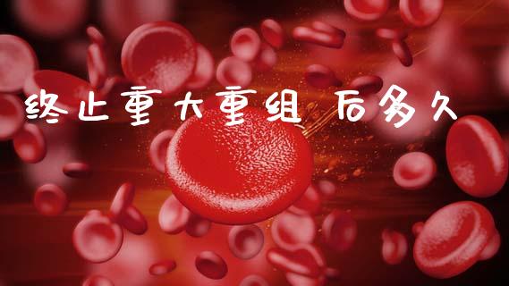 终止重大重组 后多久_https://wap.sdyuehang.cn_美股行情_第1张