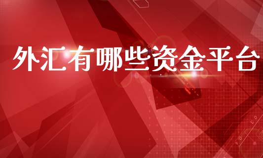 外汇有哪些资金平台_https://wap.sdyuehang.cn_产经新闻_第1张