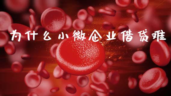 为什么小微企业借贷难_https://wap.sdyuehang.cn_产经新闻_第1张