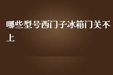 哪些型号西门子冰箱门关不上_https://wap.sdyuehang.cn_产经新闻_第1张