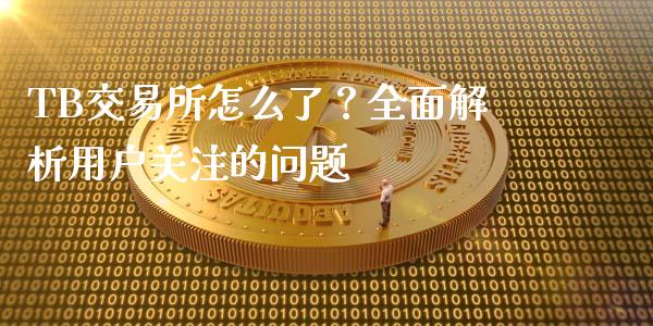 TB交易所怎么了？全面解析用户关注的问题_https://wap.sdyuehang.cn_债券资讯_第1张