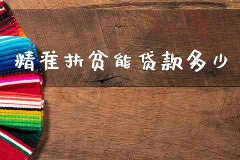 精准扶贫能贷款多少_https://wap.sdyuehang.cn_产经新闻_第1张