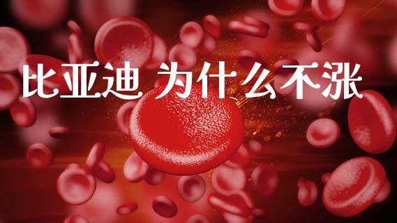 比亚迪 为什么不涨_https://wap.sdyuehang.cn_新股申购_第1张