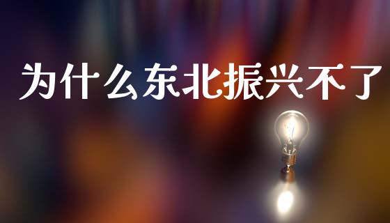 为什么东北振兴不了_https://wap.sdyuehang.cn_美股行情_第1张