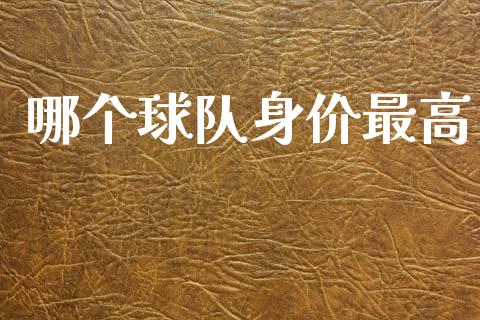 哪个球队身价最高_https://wap.sdyuehang.cn_债券资讯_第1张