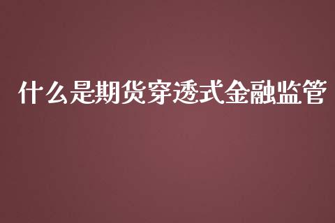 什么是期货穿透式金融监管_美股行情_第1张_产经新闻_债券资讯_新股申购_美股行情 什么是期货穿透式金融监管_https://wap.sdyuehang.cn_美股行情_第1张