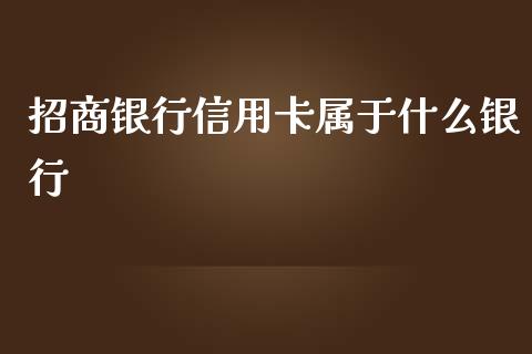 招商银行信用卡属于什么银行_https://wap.sdyuehang.cn_债券资讯_第1张