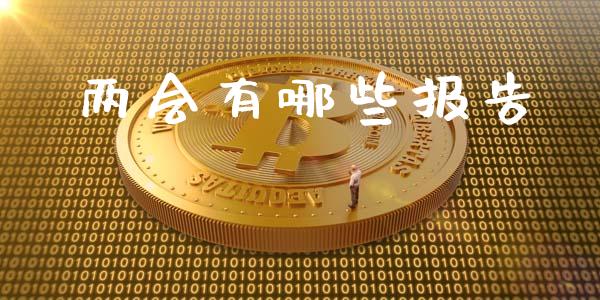 两会有哪些报告_https://wap.sdyuehang.cn_新股申购_第1张