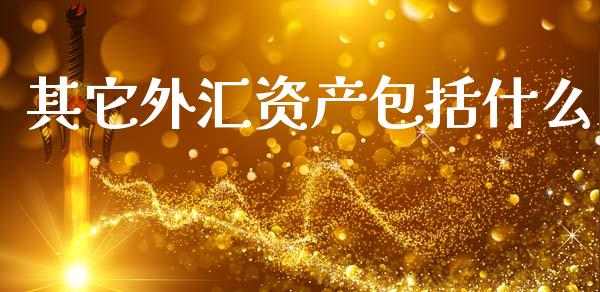 其它外汇资产包括什么_https://wap.sdyuehang.cn_债券资讯_第1张