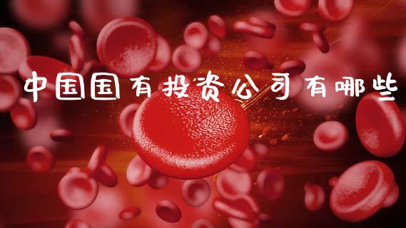 中国国有投资公司有哪些_https://wap.sdyuehang.cn_美股行情_第1张