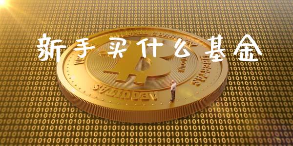 新手买什么基金_https://wap.sdyuehang.cn_产经新闻_第1张