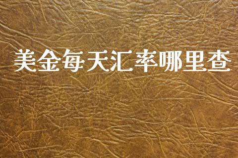 美金每天汇率哪里查_https://wap.sdyuehang.cn_产经新闻_第1张