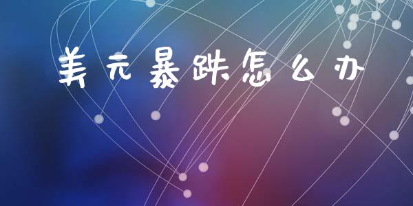 美元暴跌怎么办_https://wap.sdyuehang.cn_债券资讯_第1张