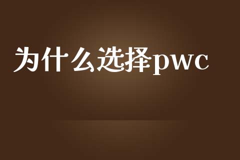为什么选择pwc_https://wap.sdyuehang.cn_产经新闻_第1张